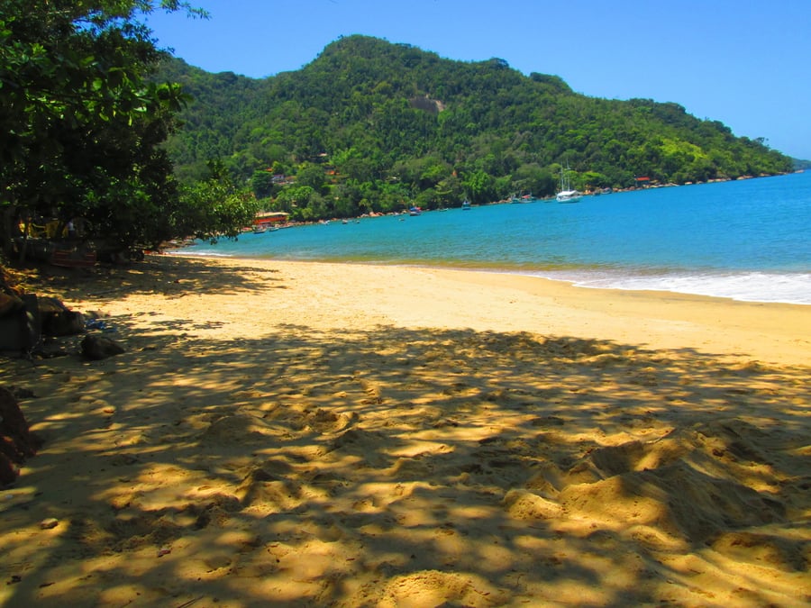 Ilha das Couves