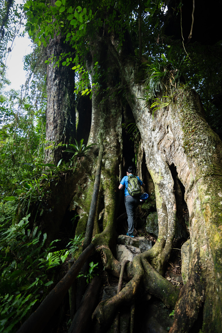 Roteiro para 3 dias no PETAR + Vale das Ostras
