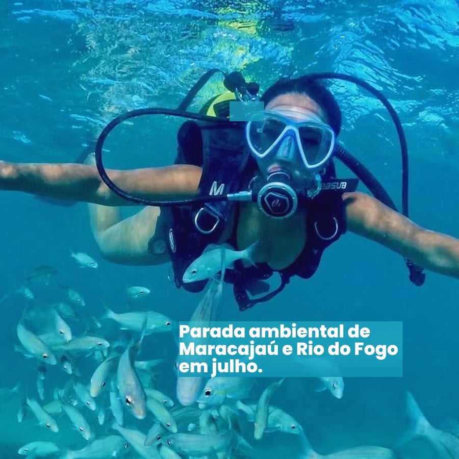 Por que Mergulhos em Maracajaú e Rio do Fogo são Suspensos em Junho: Entenda a Parada Ambiental