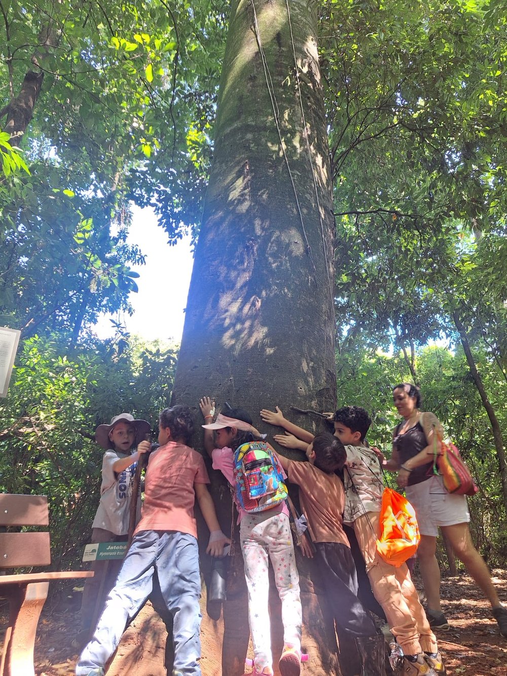 Trilha com crianças