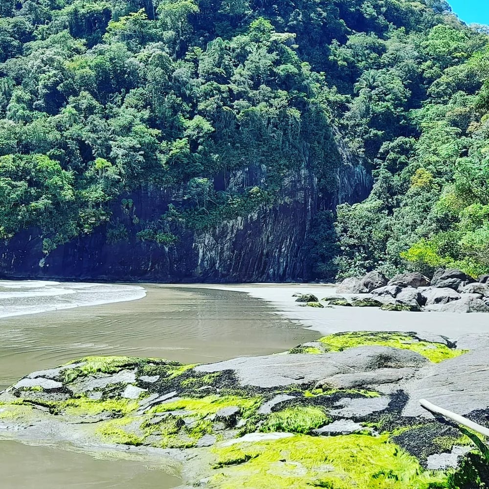 Passeio de barco na Ilha de Guarau: praias desertas e cachoeira