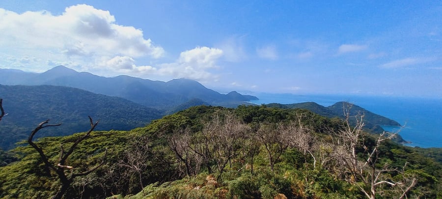 Pico do Piúva
