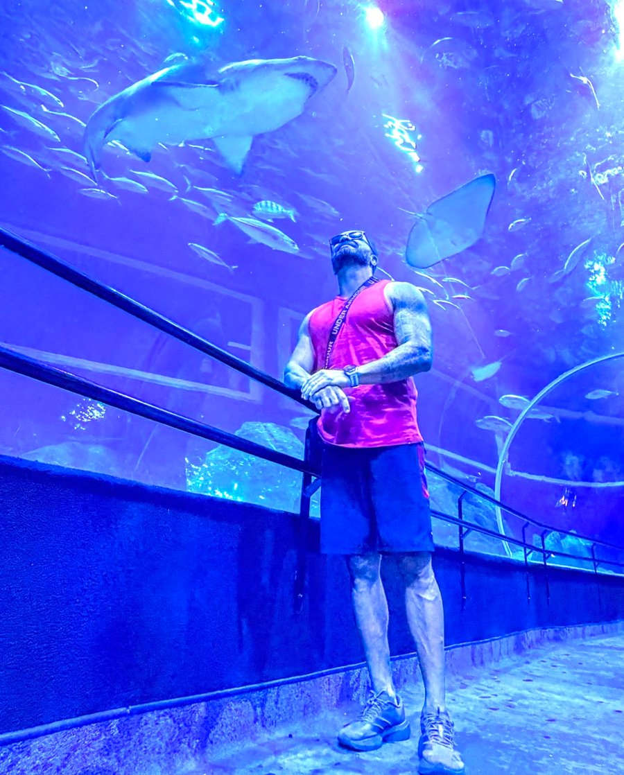 Visitantes explorando o AquaRio, um dos principais pontos turísticos do Rio de Janeiro, durante um roteiro personalizado com a JHOW RJJ.
