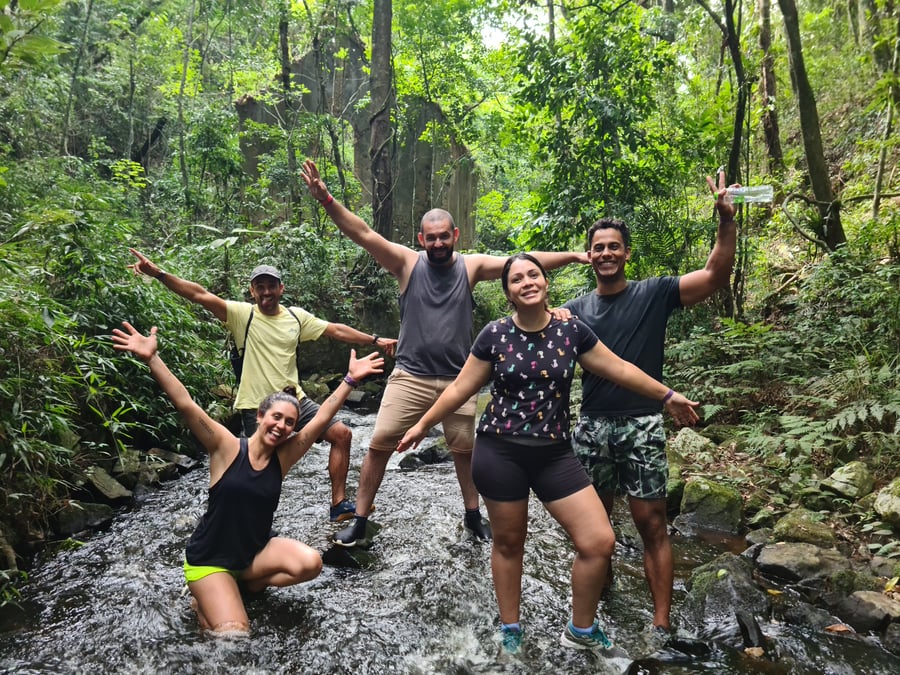 Trilhas monitoradas e demias serviços