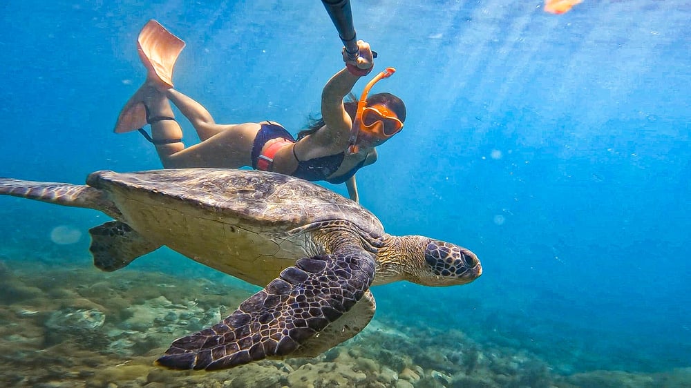 Mergulho de Snorkel na Praia em Arraial do Cabo