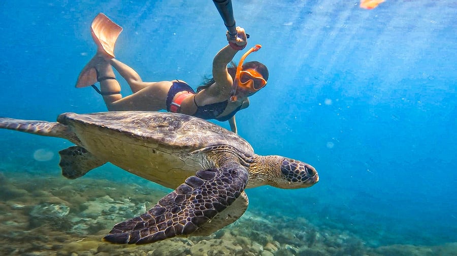 Mergulho de Snorkel na Praia em Arraial do Cabo