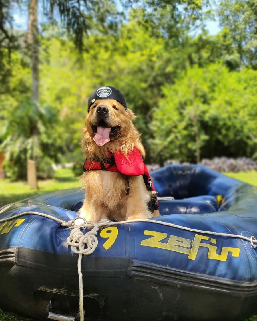 rafting pet no raft adventure park