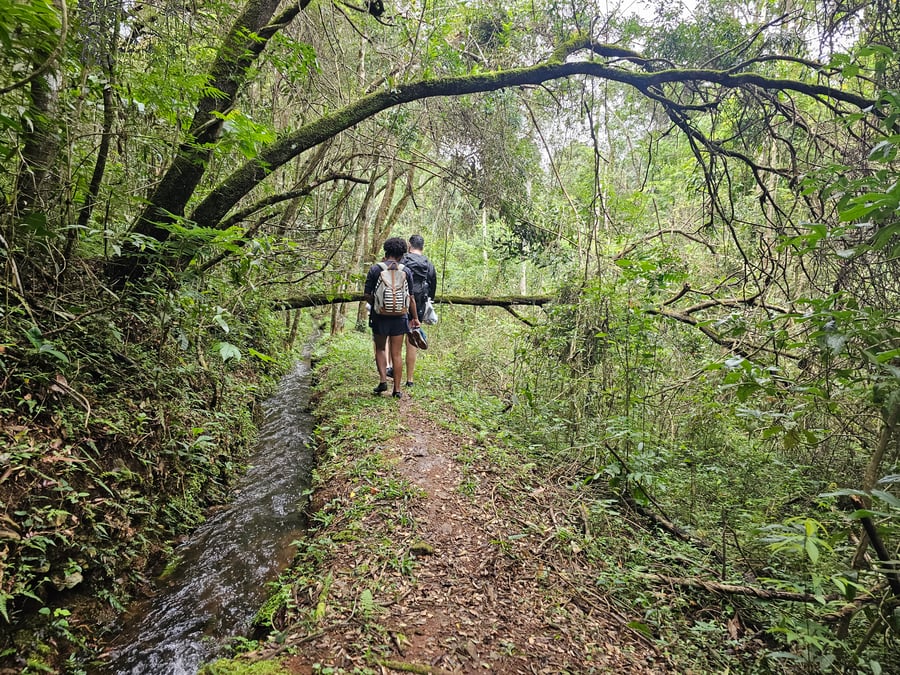Safari do Macaco Doido em São Bartolomeu