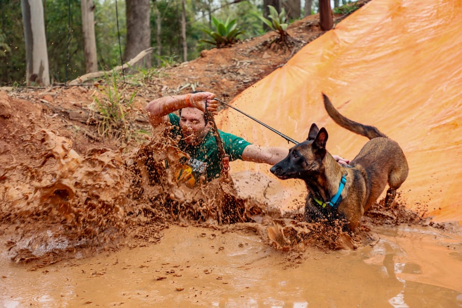 Desafio Feras Pet Friendly