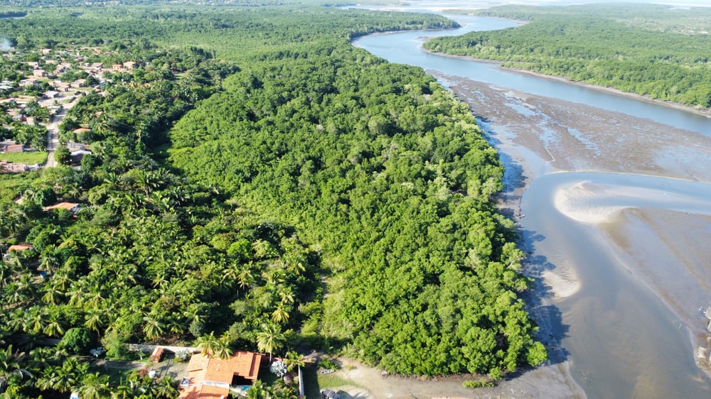 vista aérea do Rio Paciencia na maré baixa