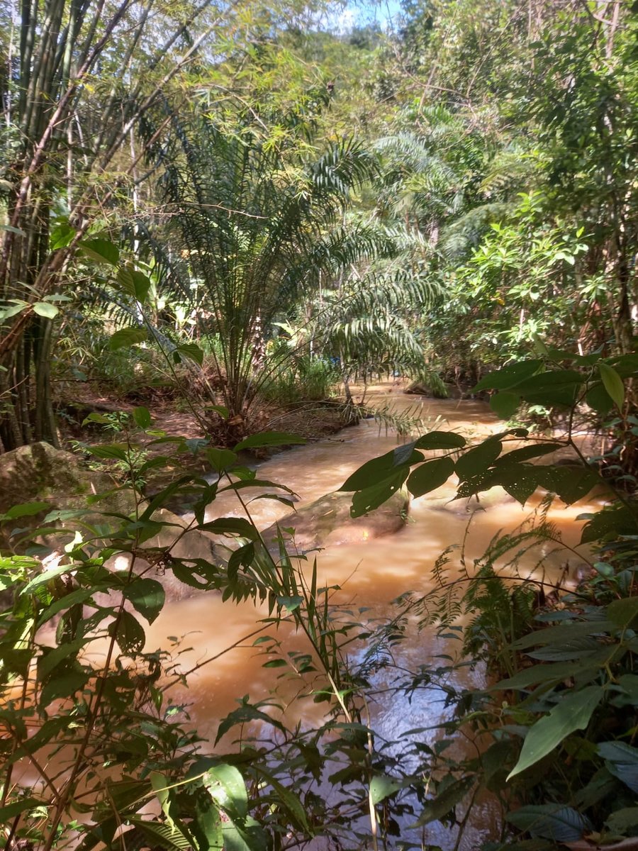Bate Volta Cachoeira do Urubu - Santo Amaro/Ba