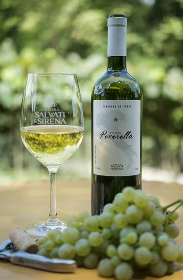 Degustação Completa, Vinícola Salvati & Sirena
