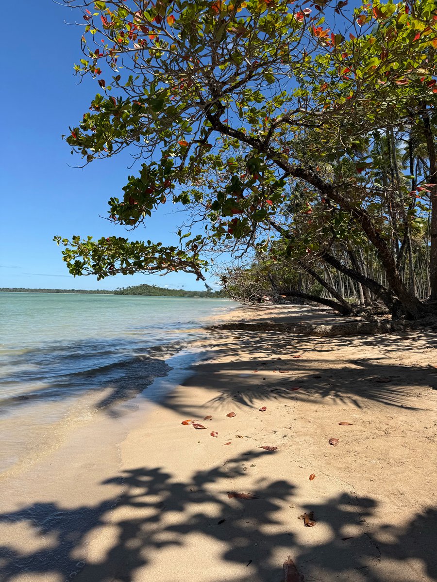 Belezas naturais de Moreré, uma das regiões mais encantadoras de Boipeba e parada do passeio Ecológico 1.