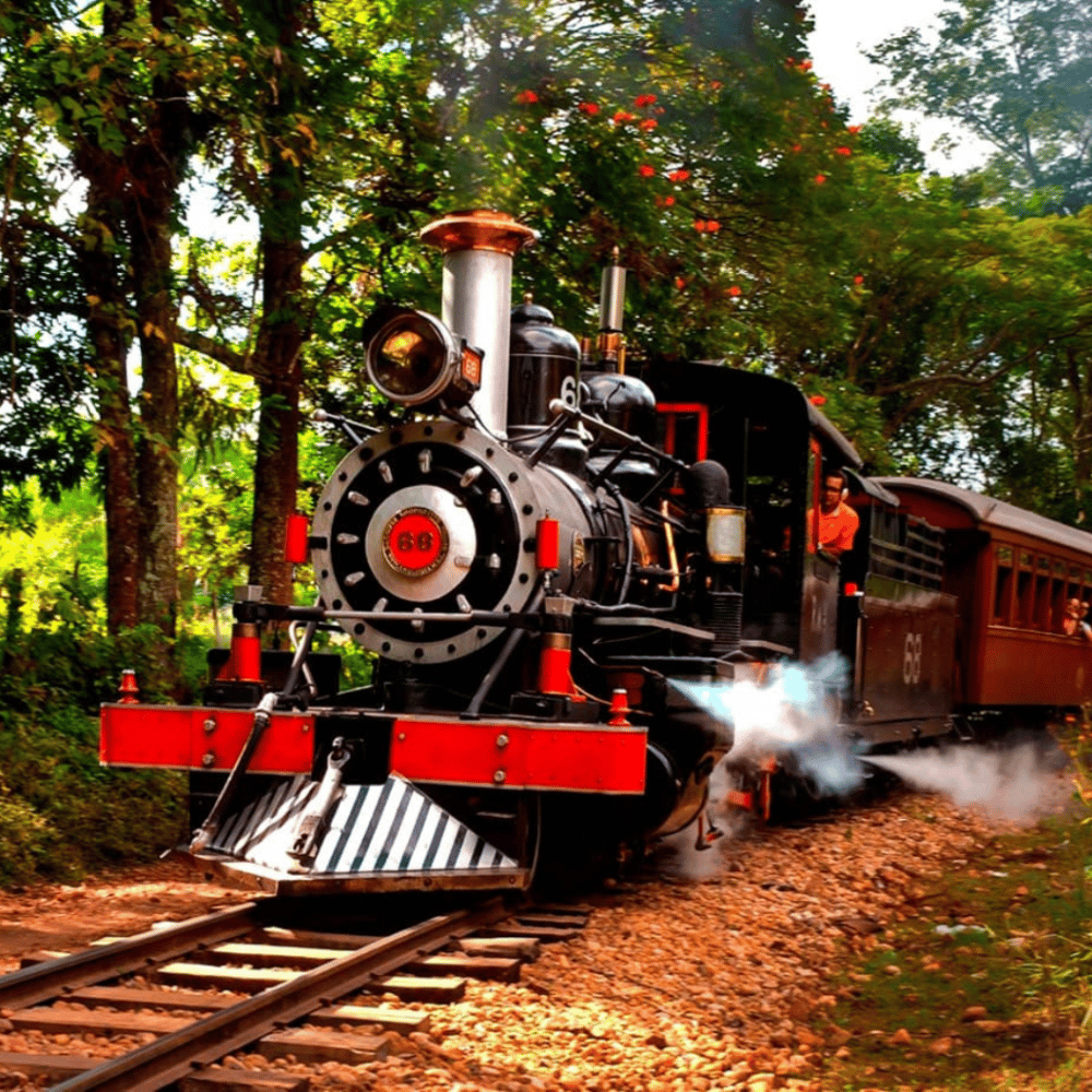 Passeios de Maria Fumaça