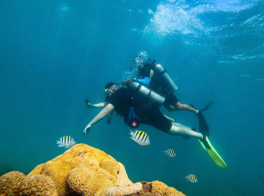 Os nossos instrutor sempre guiando