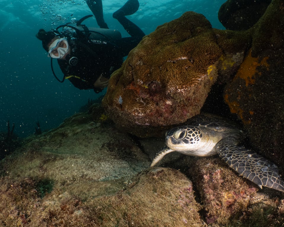 Mergulho em Arraial do Cabo - RJ