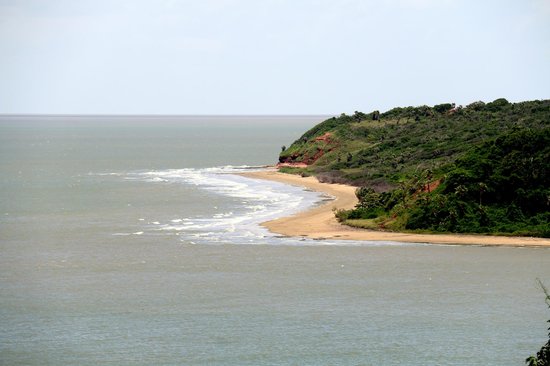 REVOADA DOS GUARÁS EM ALCÂNTARA