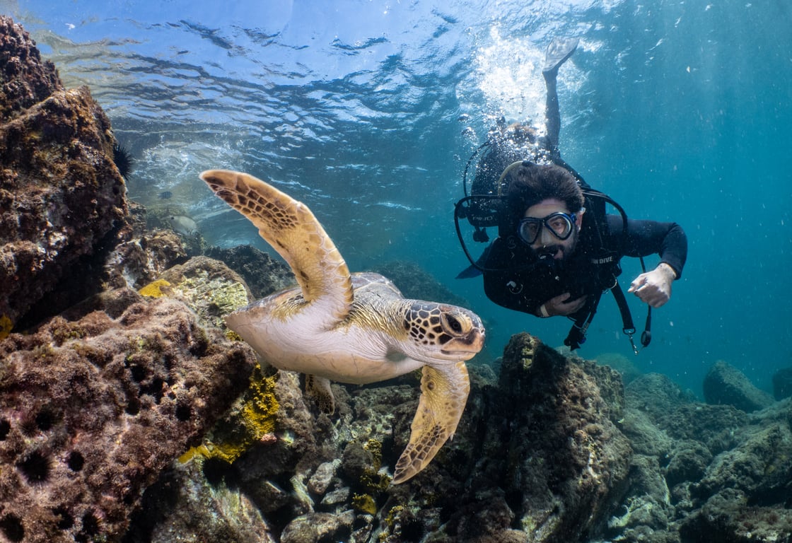 Guia Completo de Mergulho em Arraial do Cabo