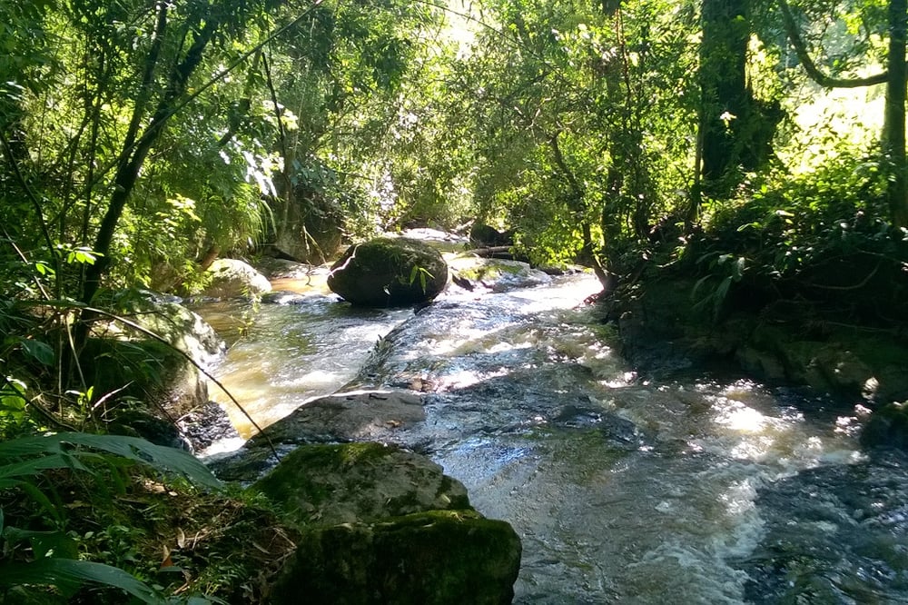 Trilha com Cachoeria