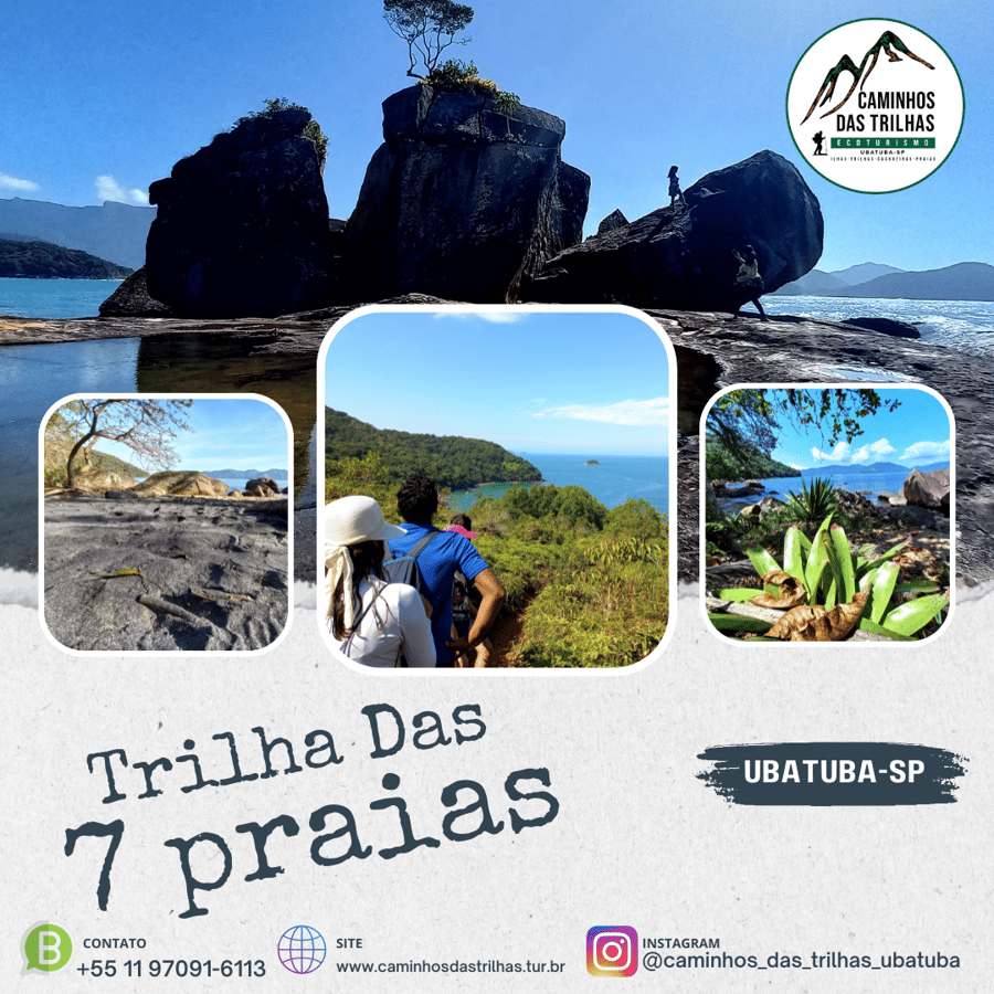 Explorando Ubatuba: Conheça as Incríveis Belezas das 7 Praias Paradisíacas na Mata Atlântica