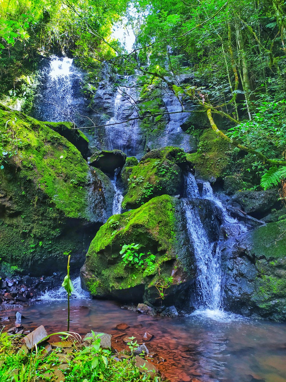 Trilha das Piscinas Naturais - Veículo próprio