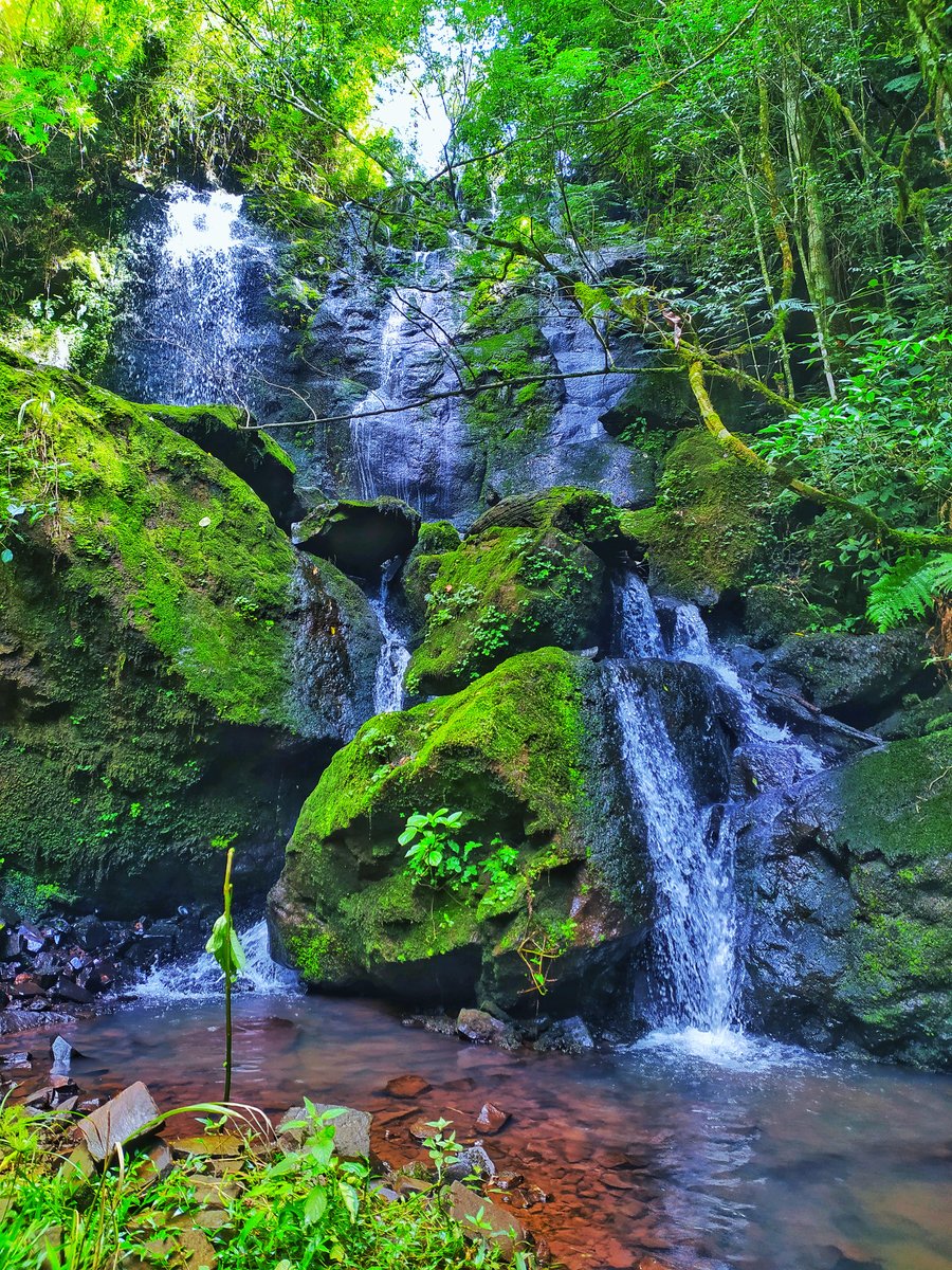 Trilha das Piscinas Naturais - Veículo próprio