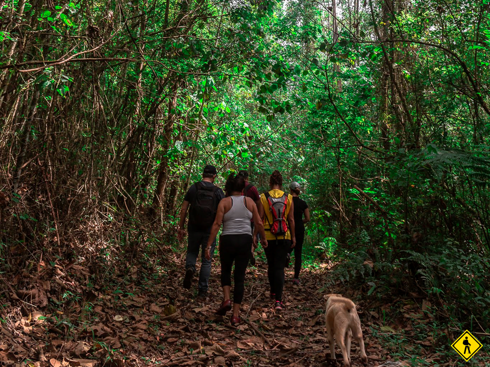 Trilha Na Serra Do Japi AquaTrekking e Almoço Rural 