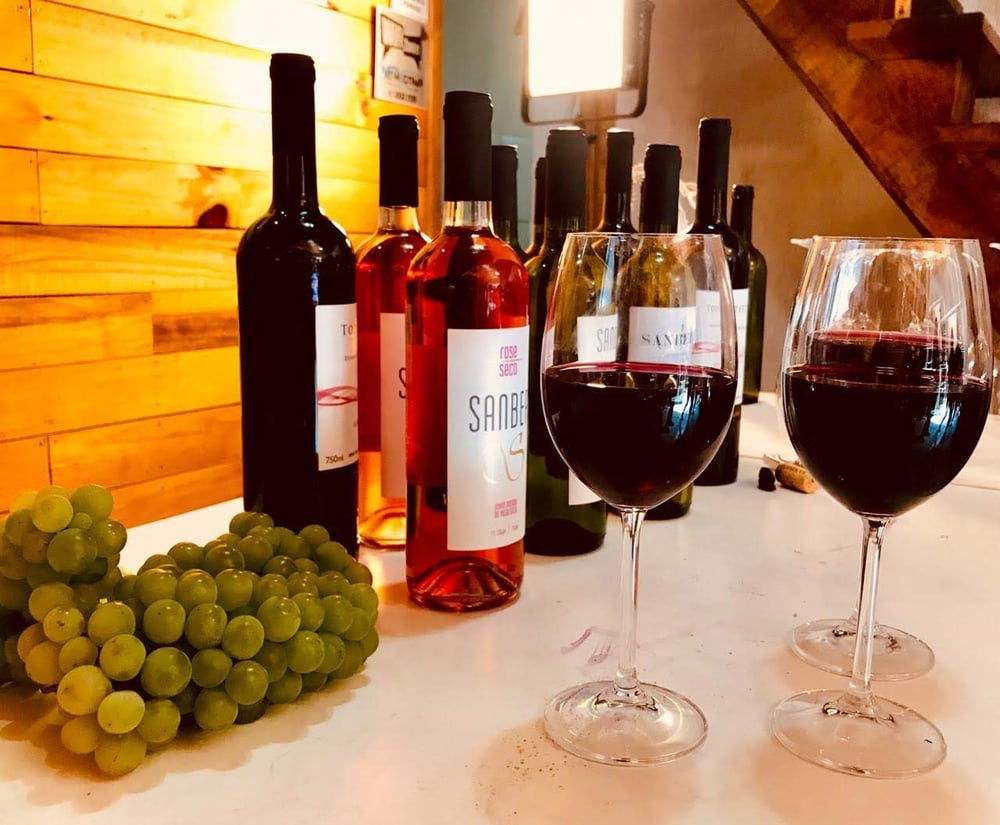 Deguste nossos vinhos e sucos