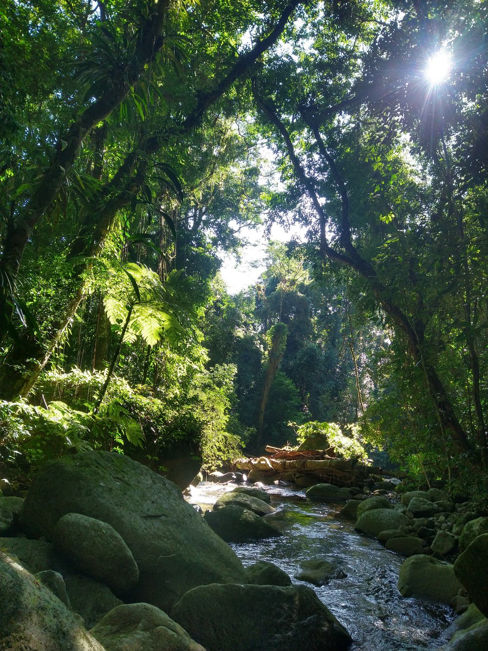 Um lugar de natureza sem igual!!