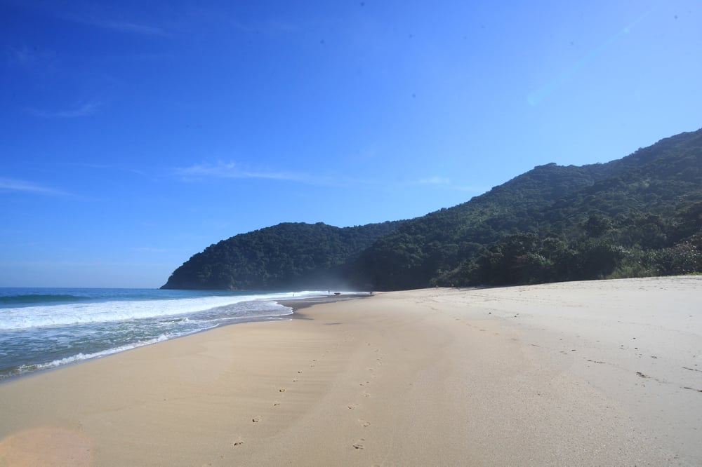 Trilha Praia Brava De Boiçucanga