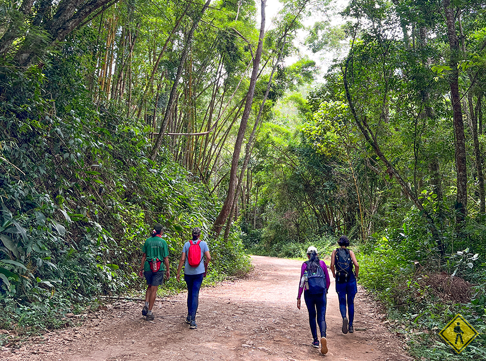 Caminhada-NazarePaulista-Natureza00