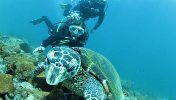 Mergulho de Cilindro - Batismo