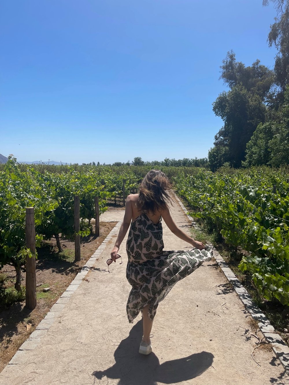 Degustação de vinhos na vinícola Concha y Toro