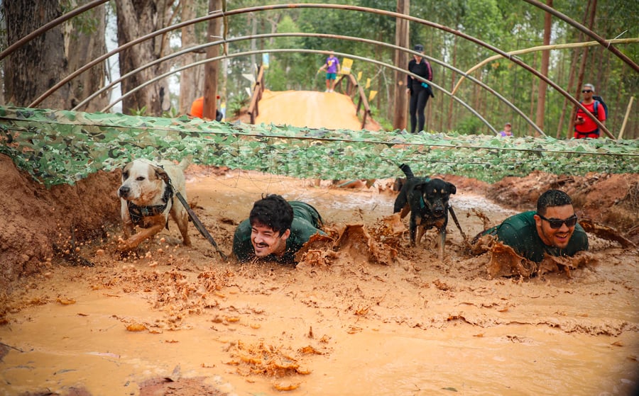 Desafio Feras Pet Friendly