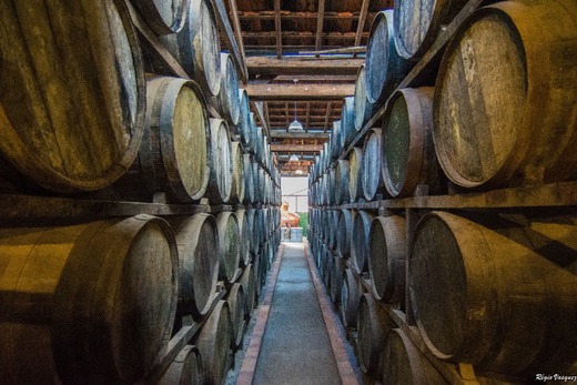 City Tour 4X4 com Pedra Redonda (famílias até 4 pessoas)