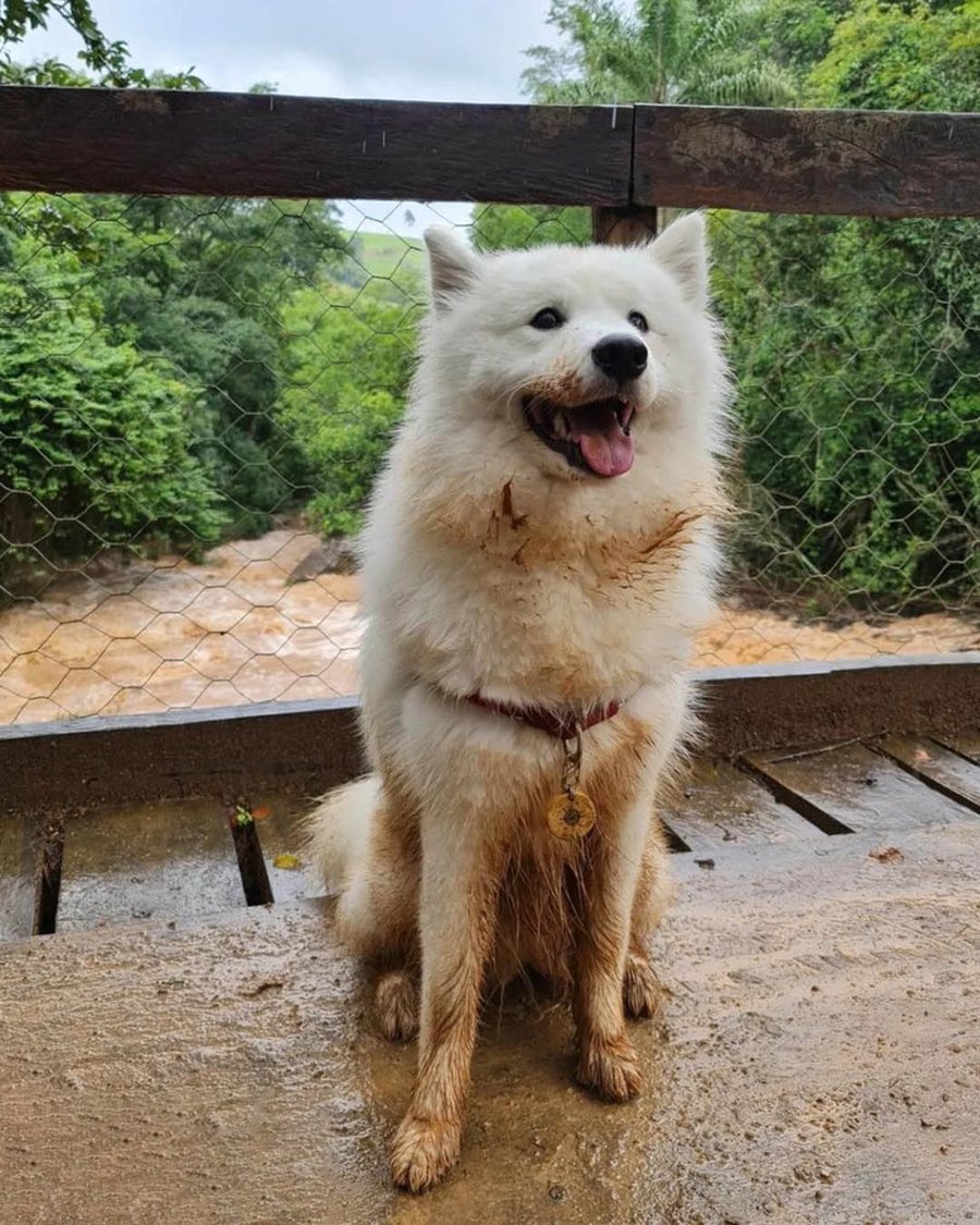 Day Use Hotel Fazenda Parque dos Sonhos