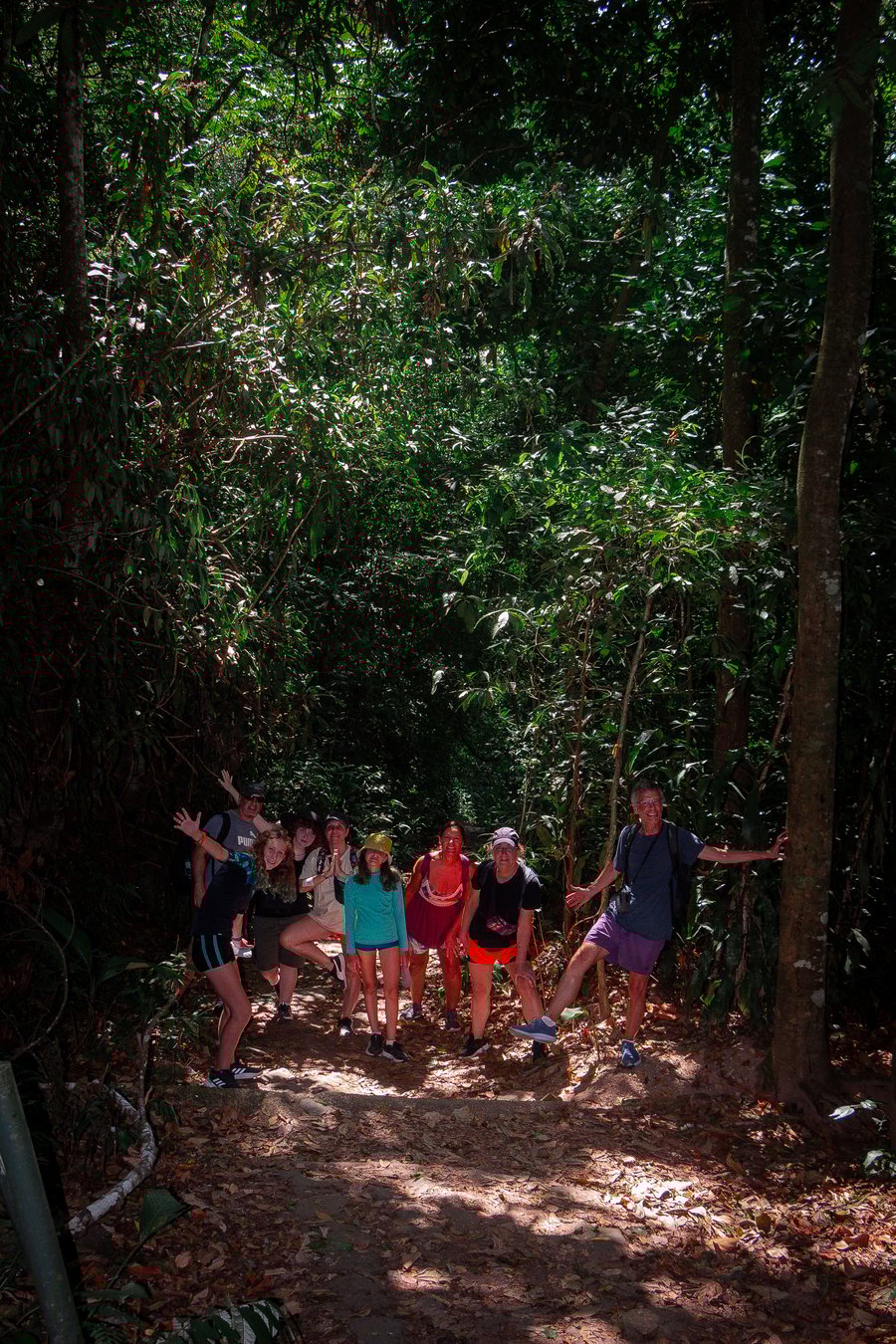 Trilha Floresta da Tijuca