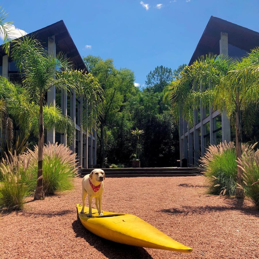 rafting pet no raft adventure park