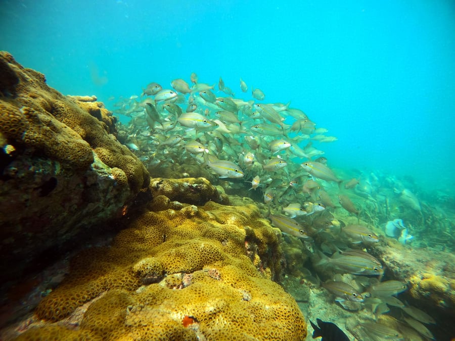 Mergulho de Cilindro