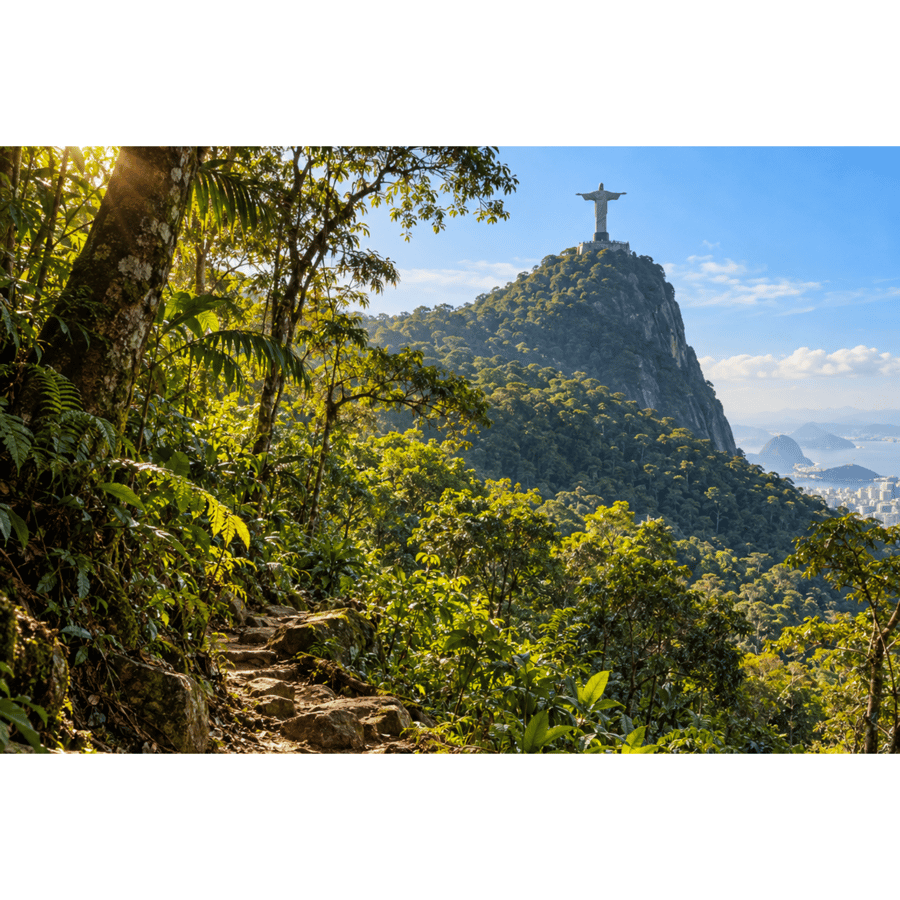 Trilha do Corcovado / Parque Lage - Rio de Janeiro