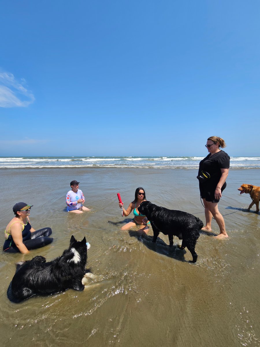 Aventura na praia Peruíbe pet friendly trilha, barco, pousada 