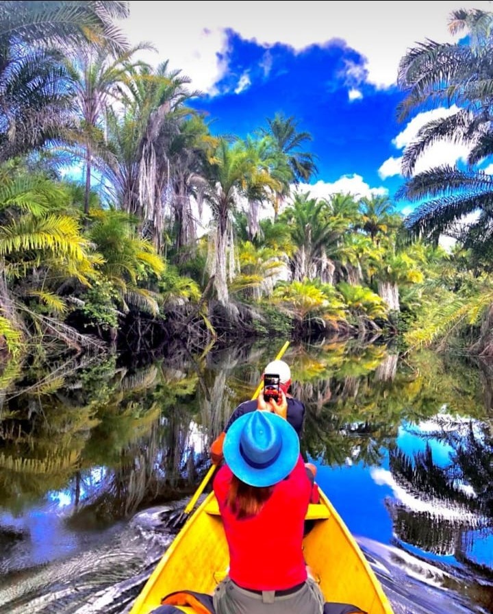 Mini Pantanal (Marimbus)