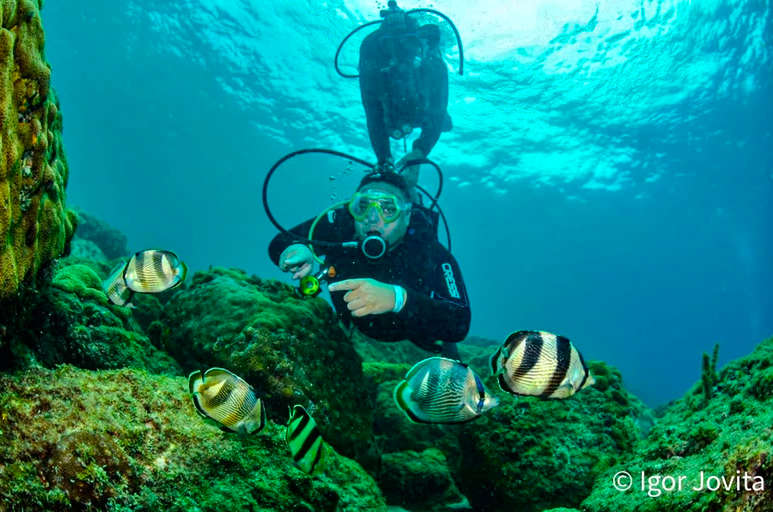 MERGULHO DE BATISMO EM ARRAIAL DO CABO