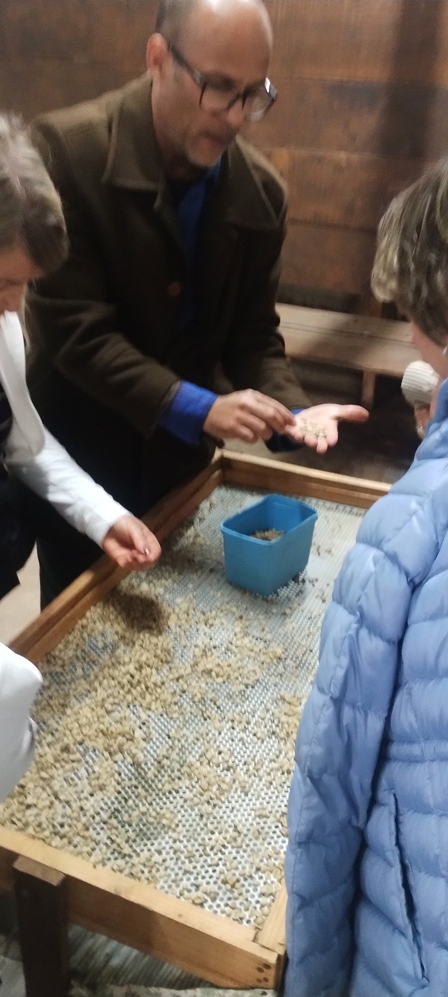 Fazenda da Taquara - seleção de grãos de café