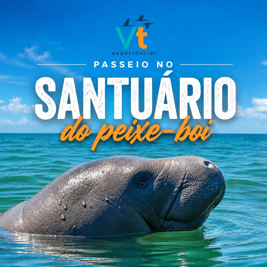 Uma experiência incrível para conhecer de perto o peixe-boi marinho e algumas das belezas mais famosas de Cajueiro da Praia, no litoral do Piauí.  O passeio inicia com visita ao famoso Cajueiro Rei, conhecido como o maior cajueiro do mundo, uma parada perfeita para fotos e contemplação dessa impressionante atração natural. 🌳✨  Em seguida, saímos do Porto da Lama, em Cajueiro da Praia, navegando em uma lancha pelos igarapés e manguezais da região até a área de observação do peixe-boi. Um momento especial para contemplar esse animal encantador em seu habitat natural. 💚🐟  ⏰ Horário aproximado: * Saída: 09h00 * Retorno: 14h00 aproximadamente * Transfer do hotel até a Cajueiro da Praia 🏝️ Durante o passeio também fazemos parada na belíssima Ilha das Conchas, um lugar perfeito para relaxar e aproveitar a paisagem paradisíaca.  🍤🐟 Incluso no passeio:  Peixe assado na brasa, Camarão assado na brasa, Baião de dois, Farofa.  Tudo preparado na hora, em uma experiência simples, regional e muito saborosa.