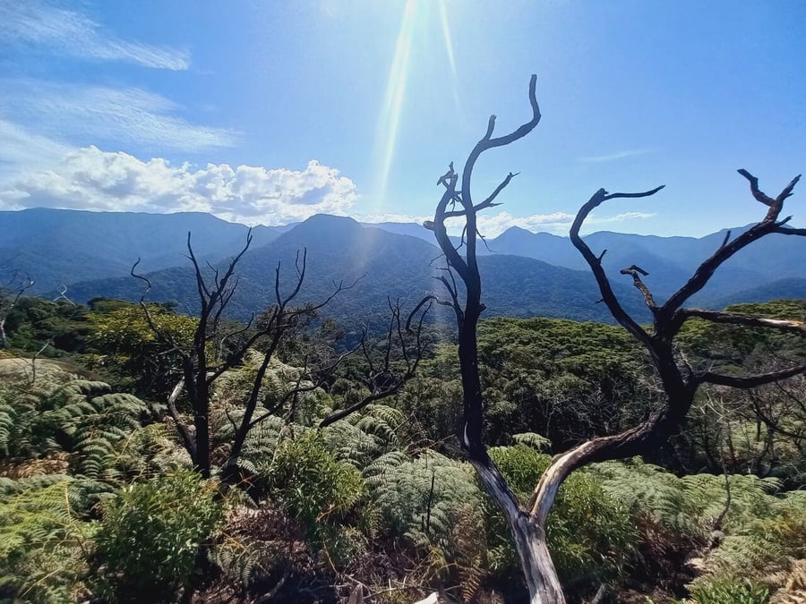 Pico do Piúva