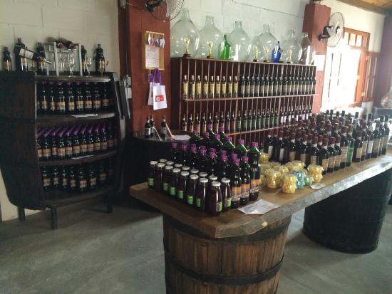 17/07 Vinhedo: Castelo dos Vinhais com café colonial e city tour