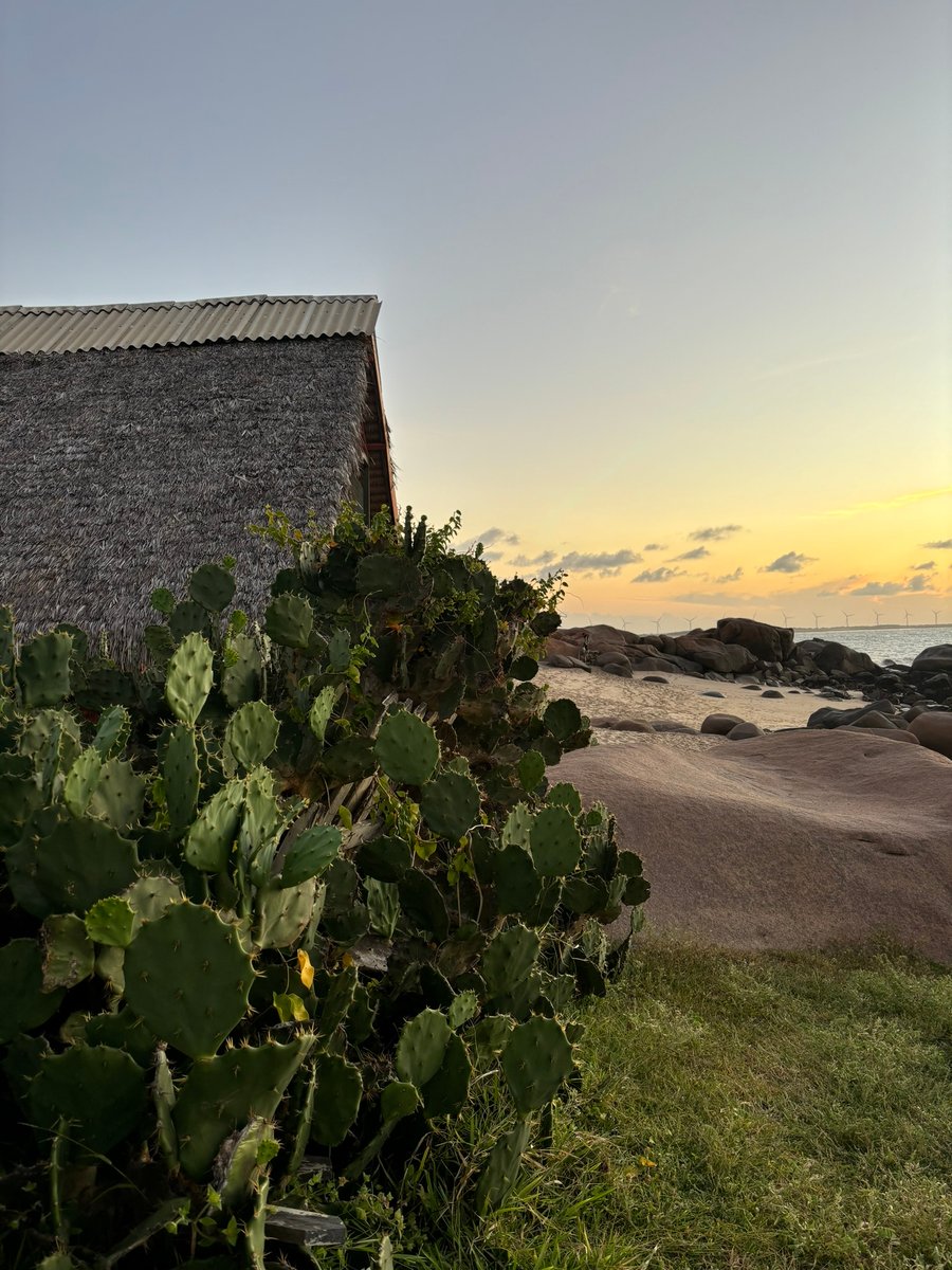 Praia da Pedra do Sal