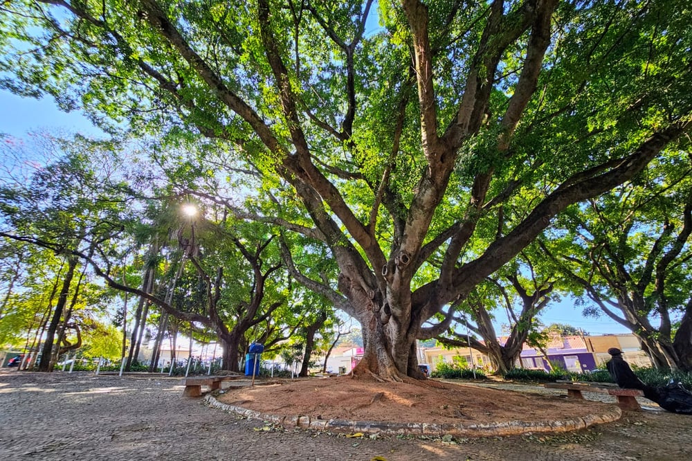 Praça Silva Rego