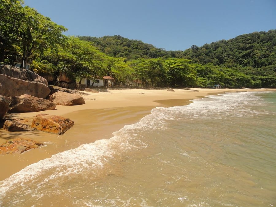 Ilha das Couves